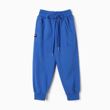 Sports pants for boys, blue color, height 80-86 cm