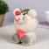 Growing gift Eco -Zhizhivchik "Mouse" Mix