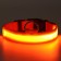 Collar with backlight size XL, Osh 52-60 x 2.5 cm, 3 glow modes Orange