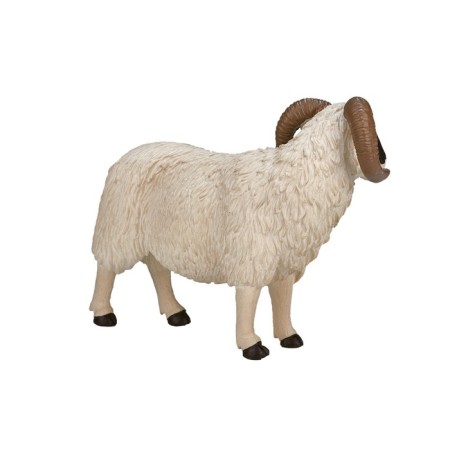 Figure Konik "Scottish black -headed ram"-2