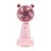 Gift set fan and umbrella, pink