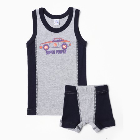 Set for a boy (T -shirt, panties), gray color, height 104 cm