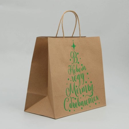 Package Gift Craft Dreams Come True, 32 x 28 x 15 cm, New Year-2