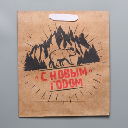 Craft vertical “Hard Winter” package, M 26 x 30 x 9 cm, New Year-4