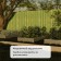 Glocked bed, 200 × 100 × 15 cm, GreenGo