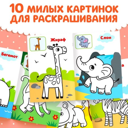 Coloring for kids on the sample "Wild Animals", 12 p.-2