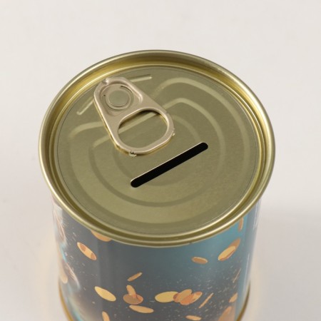 Pigging bank Metal "Coins absorber"-4