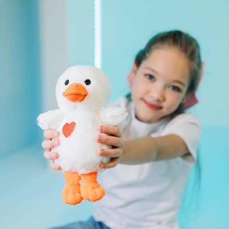 Soft toy "Goose Fedya"-1