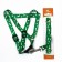 Kapron "Bones and Paws" kit, leash 120 x 1.5 cm, og 30-44 cm, green