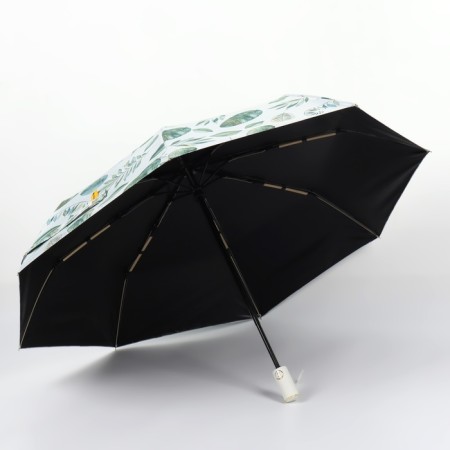 Automatic “Nature” umbrella, eponge, 3 addition, 8 spokes, r = 48 cm, color mix-2
