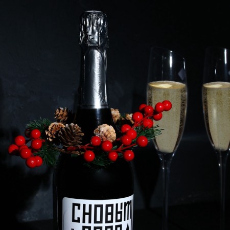 New Year's decoration for a bottle "Luck", for the New Year-1