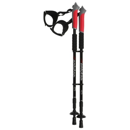 Sticks for Scandinavian walking online, telescopic, 3 sections, up to 135 cm, 2 pcs., Mix color-19