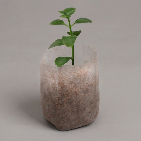 Пакет для рассады, 10.8 × 14.5 см, спанбонд плотностью 40 г/м², Greengo-1