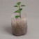 Пакет для рассады, 10.8 × 14.5 см, спанбонд плотностью 40 г/м², Greengo