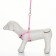 A set with a soft slope "Damon", size S, leash 120 x 1 cm, pink