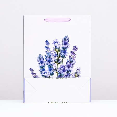 Laminated laminate package, 31 x 40 x 11.5 cm-1