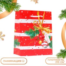 Gift Package 