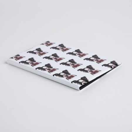 Cover for passport, white color-2