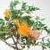 Decor on the clothespin of bird mix set 3pcs 4449370