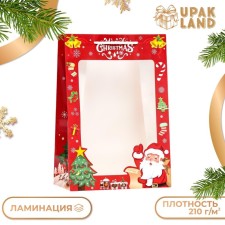 Package with the window 
