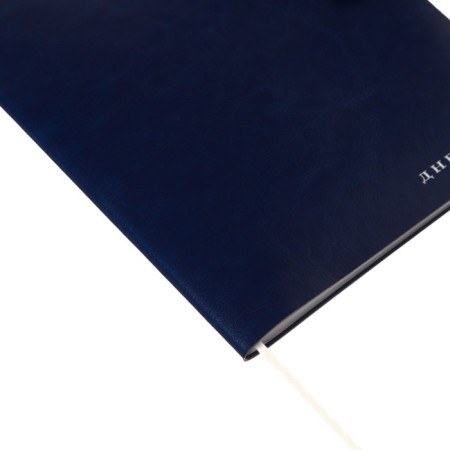 Universal diary for grade 1-11 Favorite, soft cover, button, artificial leather, foil embossing, refrain, lies, 48 ​​sheets-14