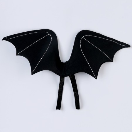 Carnival set of "Dragosha": wings and hat-8