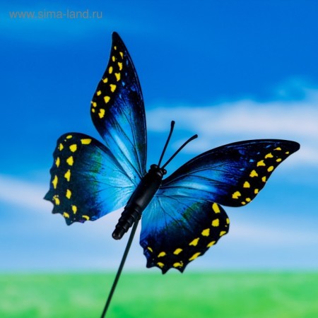 Plug for indoor plants "Butterfly" 7x8cm, 25cm / packing 25pcs, price per pcs