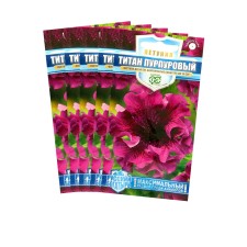 Flower seeds Petunia 