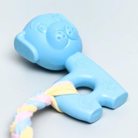Premium chewing puppy toy puppy, 10 x 6 x 3.5 cm, blue-5