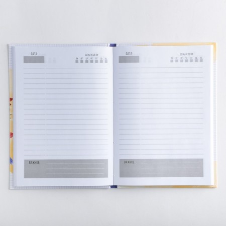 Gift set "Class Teacher": A5 Diary, 80 sheets, thermostatic 350 ml-3