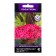 Flowers of Petunia Ampel F1 Iza Weive Rose, 5pcs
