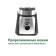 ECON ECO-755SB, stationary, 700 watts, 1.5 l, 2 speeds, black color with chrome