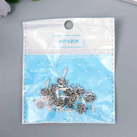 Decor for creativity Metal "Key Filin" silver 5400m008 2.1x1 cm-2