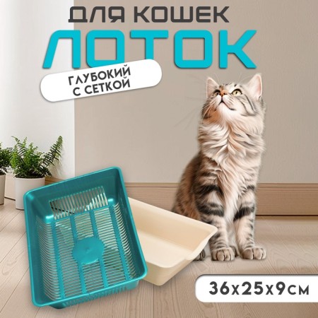 Deep toilet with a mesh of 36 x 25 x 9 cm, turquoise/beige
