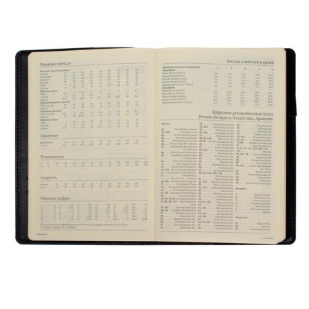 Diary Semi -dated A5, 208 PROFY sheets, reclaid leather, replaced block, gold cut, black-10