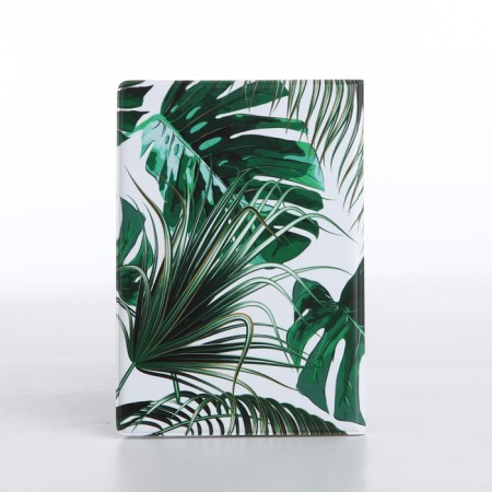 Cover for passport, green color-2