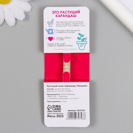 Growing gift pencils mini give joy "clove"-1
