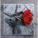 Carty clock is wall, series: flowers, "red rose", 50x50 cm