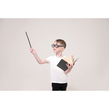 Carnival set "Wizard Harry" glasses, wand, letter-4
