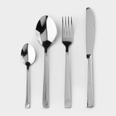 Set of table "Appetite", 24 items, thickness 2 mm, cardboard box, silver color