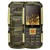 Gold camouflage