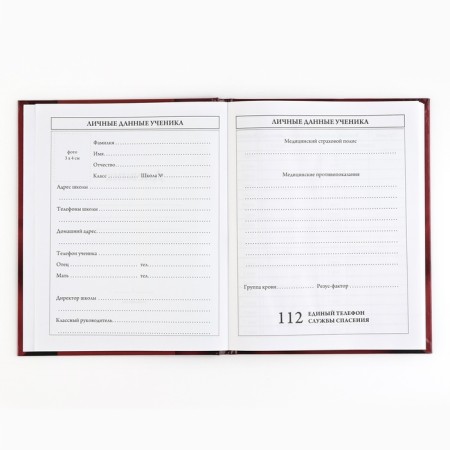School diary 5-11 grade, in a solid cover, 48 liters. "Patriotic"-2