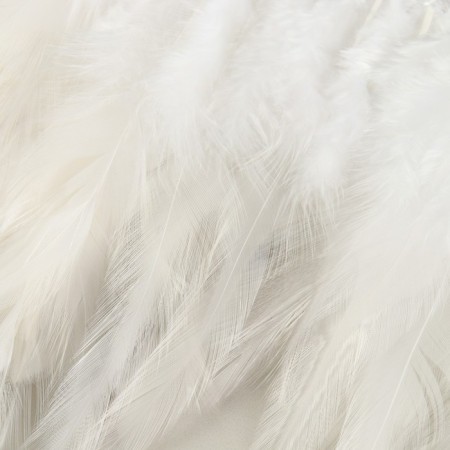 Braid with feathers of a rooster, 10-15 cm, 5 ± 0.5 m, white color-3
