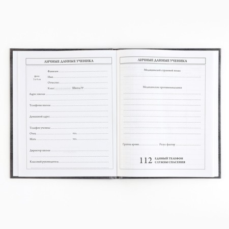 School diary 5-11 grade, in a solid cover, 48 liters. "Russia"-2