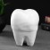 Piggy bank "Tooth" White, 13x14x19cm