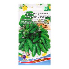 Seeds of cucumber 