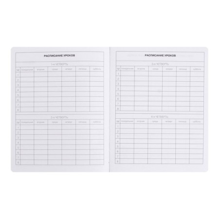 Diary Artificial leather 1-11 grade, 48 sheets, cage, hard cover, my choice. No. 9, foil embossing, rounded corners, lies, block 70g/m²-4