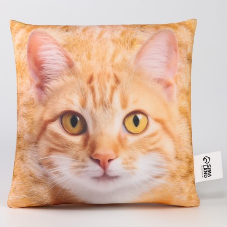 Antistress pillow "Ryzhik"-2