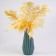 Sukhotzet "Paporotnik", yellow, 10 pcs. packaged