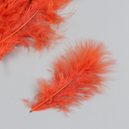 A set of decorative feathers "needlework", 20 pcs (dark orange), pen length 13-16 cm